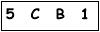 salt-6F5DC3C4