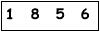 salt-81B82033