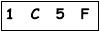 salt-416FFD8B