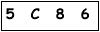 salt-50B62253