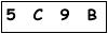 salt-24A58419