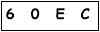 salt-FCCBEA33