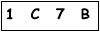 salt-D9C4929D