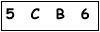 salt-F4A5C7BC