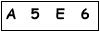 salt-3383D39E