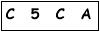 salt-448238C1