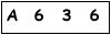 salt-24479E53