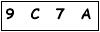salt-334D5513