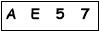 salt-4D5D31E2