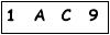 salt-C19E78DD