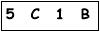 salt-5CD5BF19