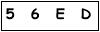 salt-1CAA2C1A