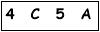salt-483EEC23